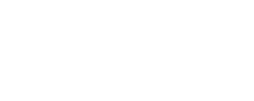 Método Crisálida